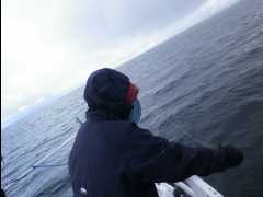 Cod Fishing44